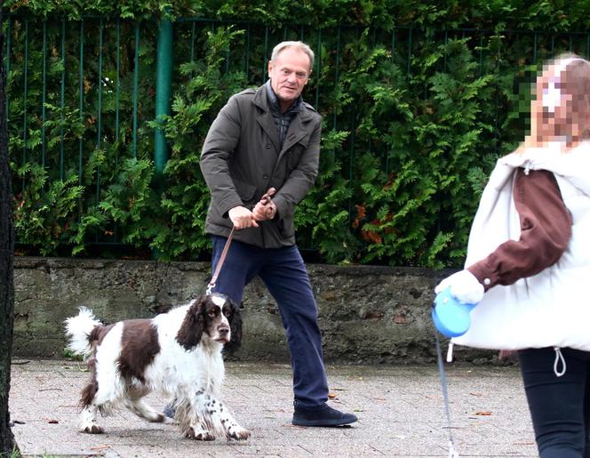 Donald Tusk na spacerze z Portosem