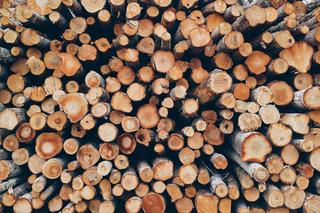 Drewno kominkowe – drogie i jest go mało