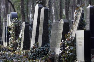 Okropna PROFANACJA na cmentarzu w Ełku! Ponad 100 zdemolowanych grobów