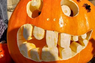 U Łukasza z Pawłowa hasło cukierek albo psikus nabiera innego wymiaru. Najbardziej halloweenowy dom świętokrzyskiego