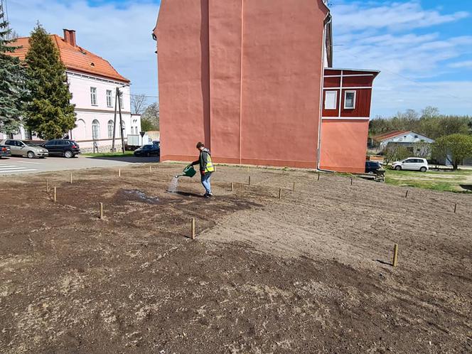 W Pieniężnie kwietne łąki zamiast trawników