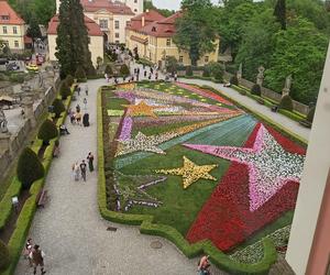 Festiwal Kwiatów na Zamku Książ. Jest bajecznie! [ZDJĘCIA]