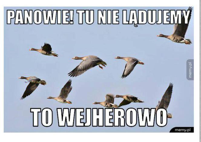 Wejherowo