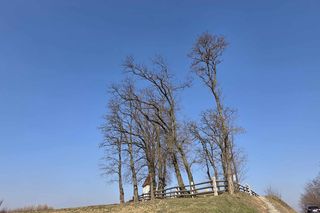 Cmentarz wojenny w Drohojowie.