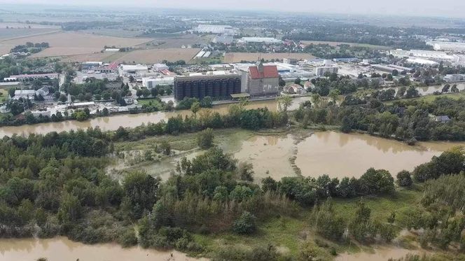 Oława (Zwierzyniec) z drona - czwartek 19.09