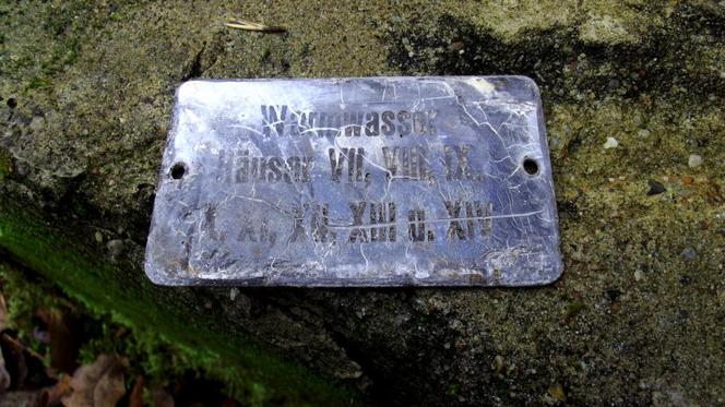 Wilczy Szaniec. Dokonano kolejnych znalezisk w dawnej kwaterze Hitlera w Gierłoży