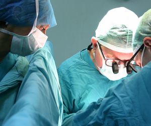 PRZESZCZEPY komórek, tkanek lub narządu. Rodzaje transplantacji