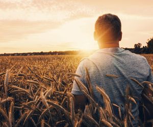 Tragedia rolnika z Podlasia. Najpierw zmarł mu tata, a teraz to! Dramatyczny wypadek w gospodarstwie