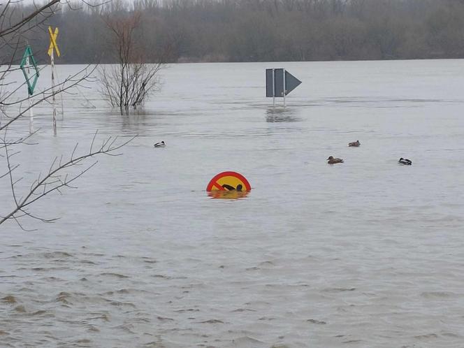 Wysoki stan Wisły w Fordonie. Pod wodą są śmietniki, ławki i donice na bulwarze