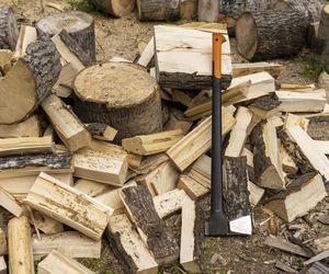 Jak rozdrabniać drewno na opał? Narzędzia do rozdrabniania drewna: łuparka, piła spalinowa, piła łańcuchowa, siekiera, rozdrabniacz do gałęzi