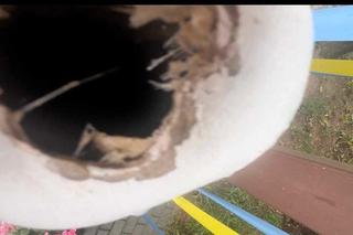 Zniszczona figura Matki Boskiej Niepokalanej we wsi Kościuki