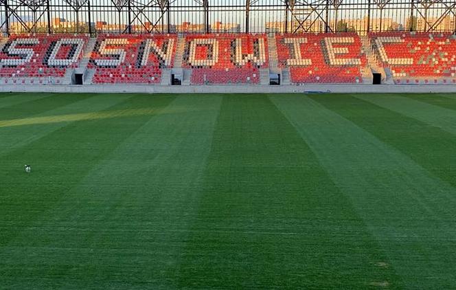 Budowa Zagłębiowskiego Parku Sportowego w Sosnowcu Zagórzu