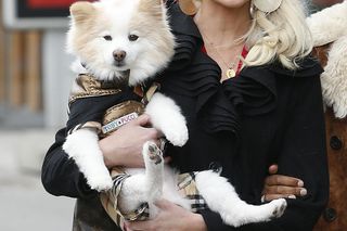 Iwona Burnat z Żon Hollywood nie wygląda tak jak wcześniej. Przeszła totalną metamorfozę