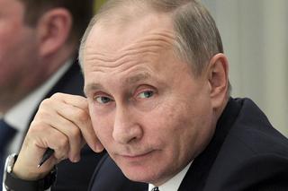KOT kontra PUTIN! Ambitny futrzak zmierzy się z przywódcą Rosji