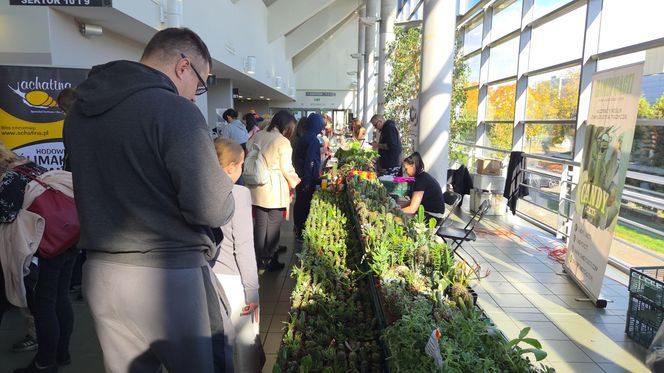 Węże, pająki i dreszczyk emocji w Bydgoszczy! Dragon Expo zachwyciło odwiedzających