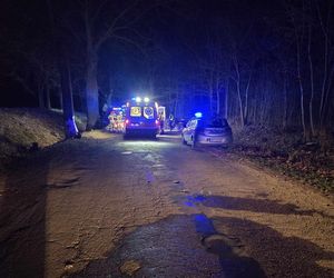 Śmiertelny wypadek pod Iławą. Alfa Romeo rozbiła się na drzewie, zginął młody kierowca