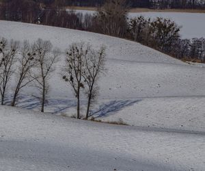 W Kujawsko-Pomorskiem na wielkiej połaci rozrzucone są wzniesienia jak gigantyczne bochny chleba. To drumliny