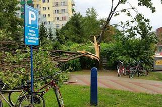 Skutki burzy w Rzeszowie