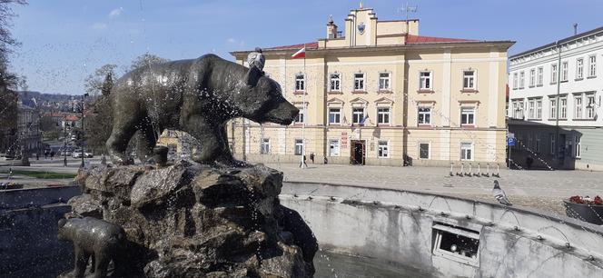 5. Powiat przemyski