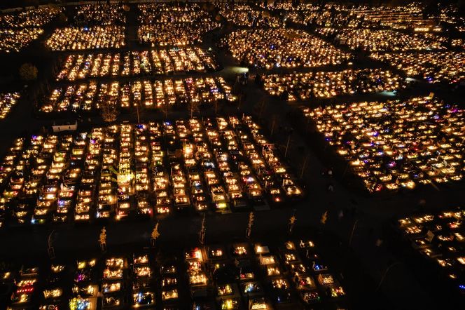 1 listopada na Cmentarzu Łostowickim w Gdańsku. Tak wygląda w dniu Wszystkich Świętych