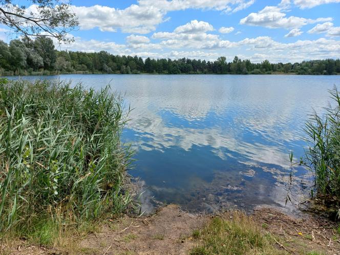 Przy zbiorniku wodnym na Zaborowie w Lesznie powstaje ścieżka rowerowa