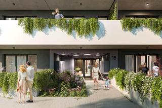 Nowe kukurydze na osiedlu Tysiąclecia projektu Medusa Group