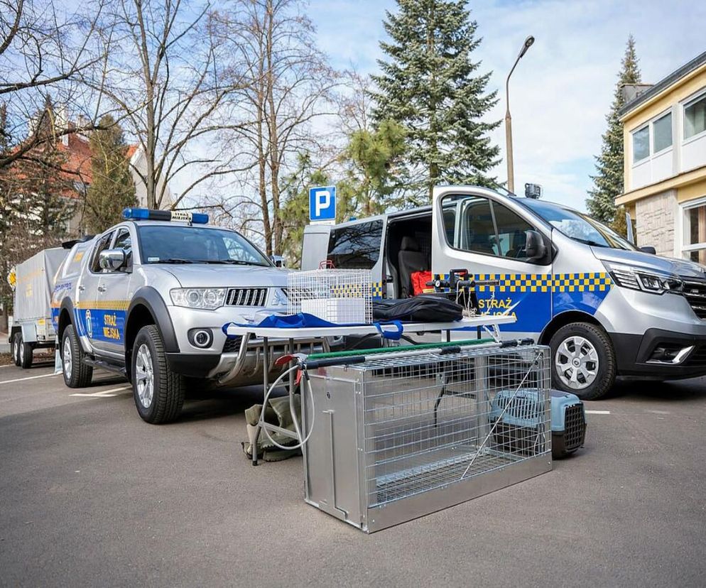 Straż Miejska w Olsztynie będzie pomagać zwierzętom