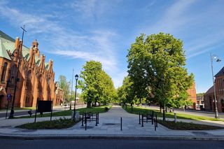 Plac Kościeleckich rozkwita na wiosnę. Bydgoszczanie chętnie wybierają go na spacer
