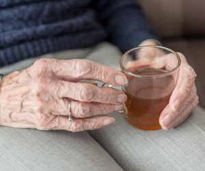 Obiad dla Seniora w Dąbrowie Górniczej. Zobacz, jak można się zapisać i jakie kryteria trzeba spełniać