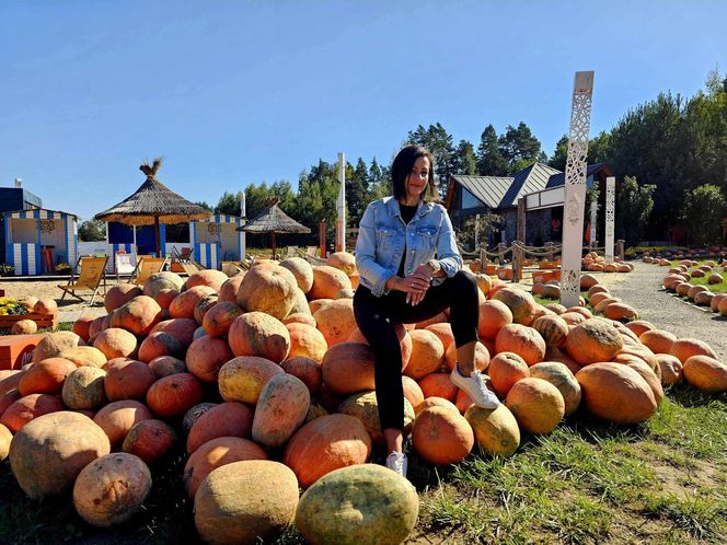 Westernowa farma dyniowa w Radawie.