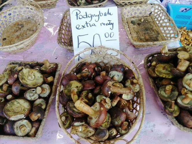 Ile kosztują grzyby w Krakowie? Ceny na targowiskach przyprawiają o zawrót głowy. Mamy zdjęcia!