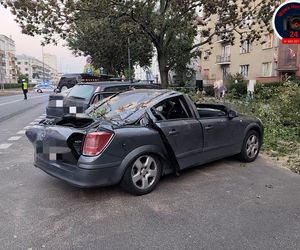 Drzewo spadło na sieć trakcyjną