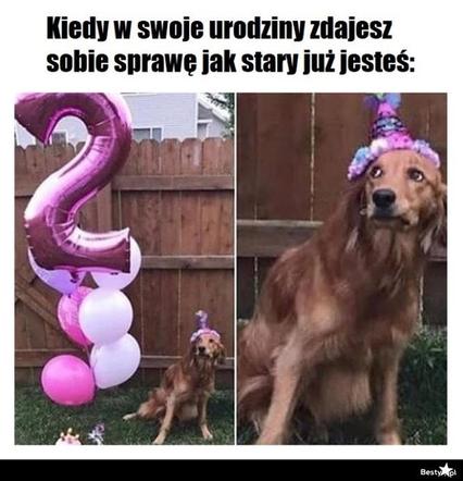 MEMY na urodziny! Zobacz najśmieszniejsze obrazki w internecie [GALERIA]