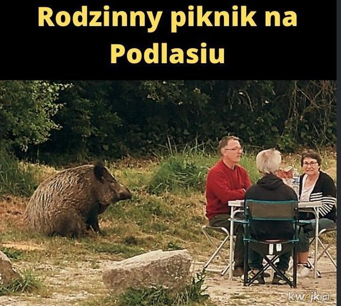 Najlepsze memy o Podlasiu. Zobacz najciekawsze memy o województwie podlaskim. Ubaw do łez!