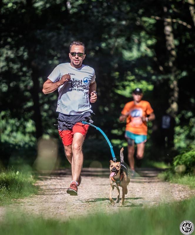 Parkrun Las Aniołowski w Częstochowie. Biegowa rekreacja na 5 kilometrach [ZDJĘCIA]