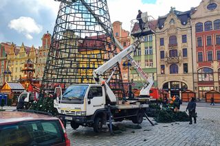 Na rynku we Wrocławiu stawiają 24-metrową choinkę. Będzie inna od poprzedniej 