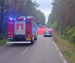 Zderzenie auta z łosiem zakończyło się tragedią