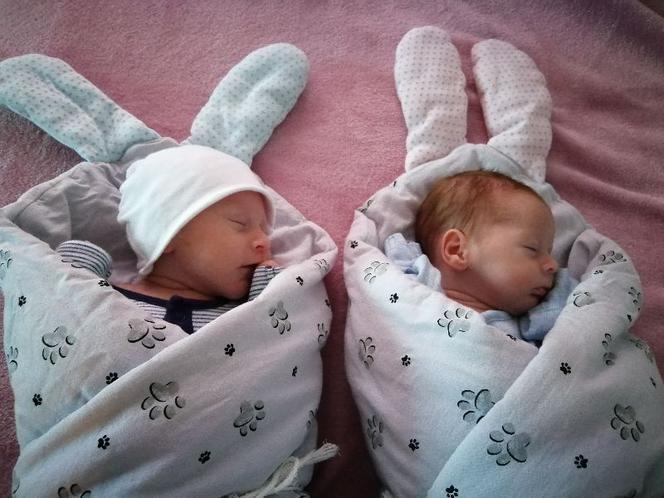 Leon i Bruno – krótkie, mocne, coraz częściej wybierane.