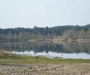 Wagoniki powojennej kolejki zostaną wyciągnięte z zalewu Piachy w Starachowicach