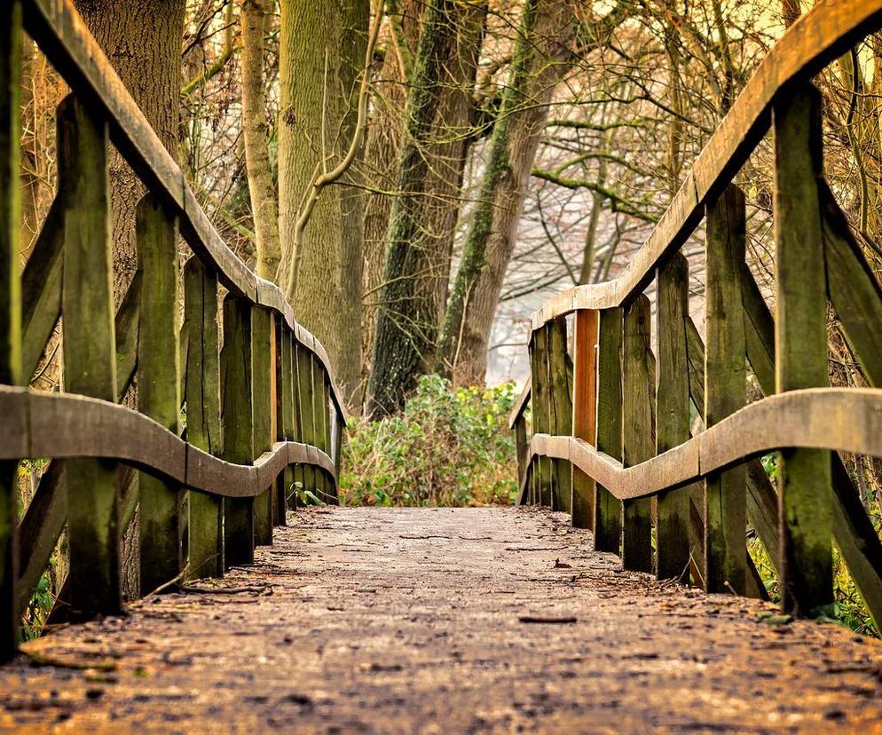 To będzie miejsce spotkań mieszkańców. W Przytyku powstanie park