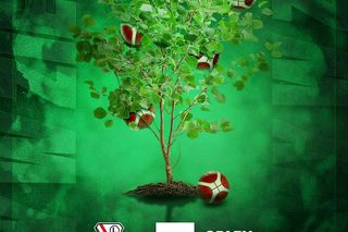 Z każdej celnej trójki koszykarskiej Legii wyrośnie drzewo. Startuje akcja Trójki dla Natury