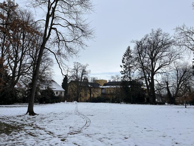 Pałac Slatiňany niedaleko Pardubic - zdjęcia. Święta 100 lat temu i zabytkowa stadnina koni