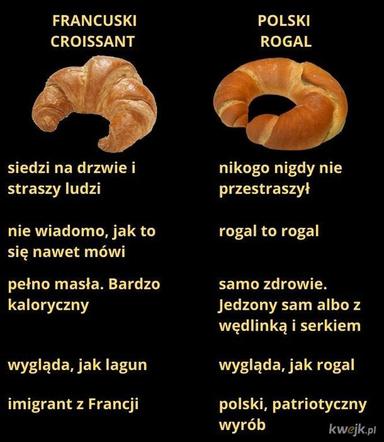 Krakowski lagun to prawdziwy FENOMEN! [MEMY]