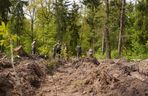 Blisko 1000 drzew posadzili pracownicy Ośrodka Kultury Leśnej w Gołuchowie 