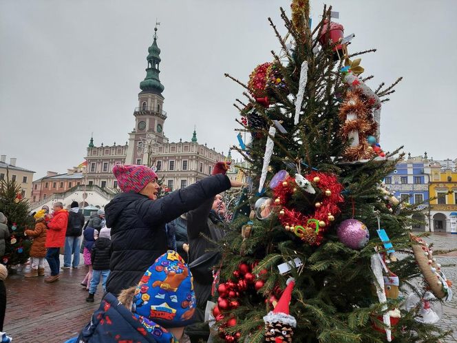  Zamojskie przedszkola i szkoły dekorowały choinki