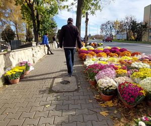 Przygotowania do Wszystkich Świętych Zamość