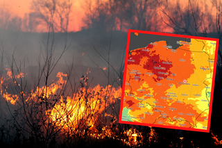 IMGW: zagrożenie pożarowe w Polsce. Miejscami EKSTREMALNIE wysokie! 