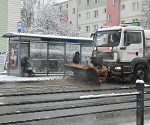 Śnieżny Szczecin 