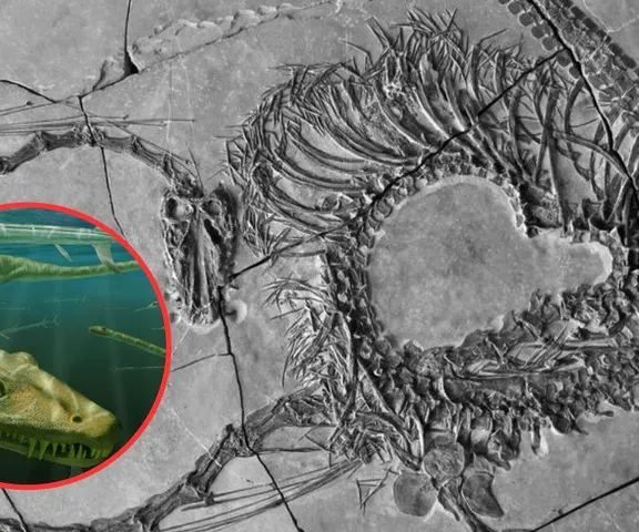 Naukowcy pokazali chińskiego dinozaura. Jego wygląd szokuje!