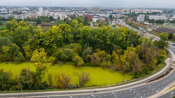 Port Praski - widok z drona, wrzesień 2024